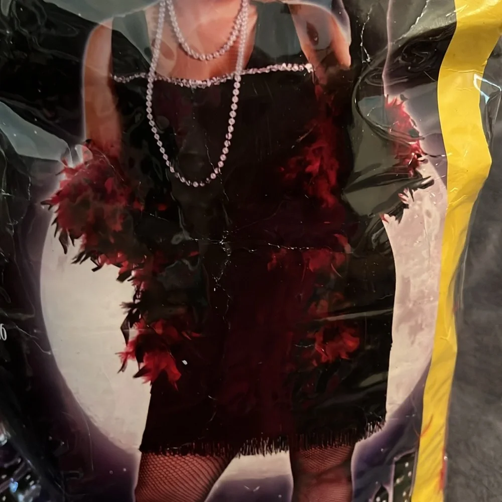 Spirit Black Flapper Dress with Red Feather Boa - Picture 2 of 7